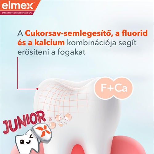 A Cukorsav-semlegesítő, a fluorid és a kalcium kombinációja segít erősíteni a fogakat
